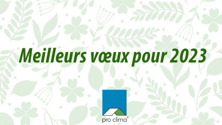 bonne année